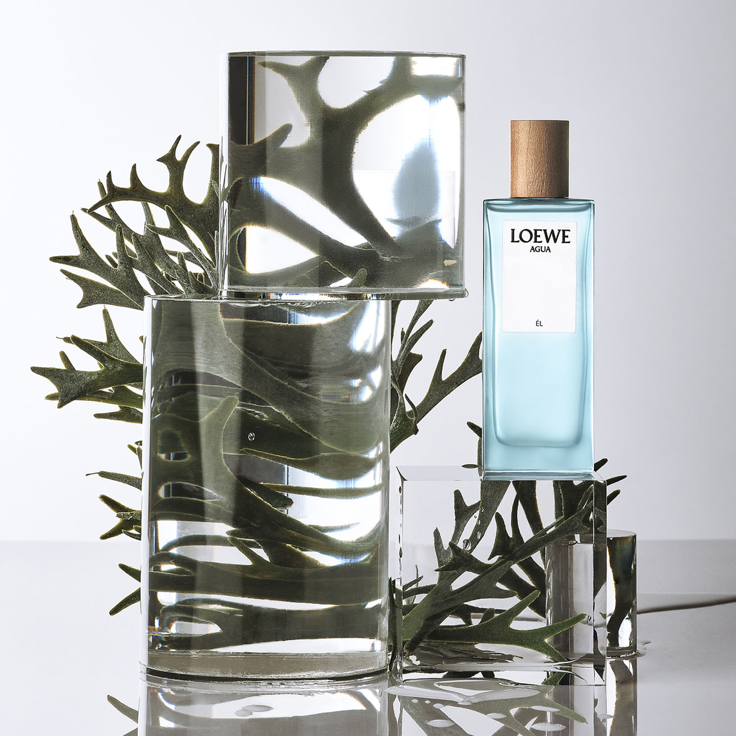 LOEWE AGUA ÉL EAU DE TOILETTE